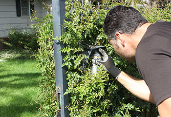 Gate Intercom Repair - Rolando